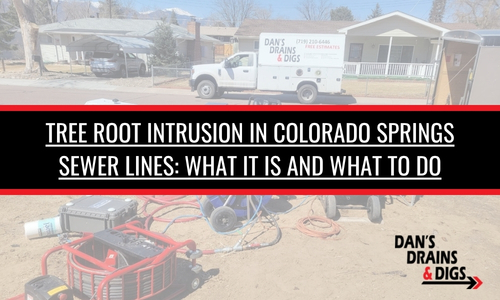 tree root intrusion Colorado Springs